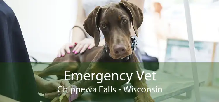 Emergency Vet Chippewa Falls - Wisconsin