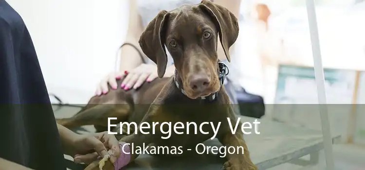 Emergency Vet Clakamas - Oregon