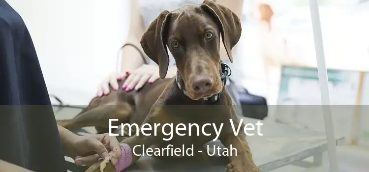 Emergency Vet Clearfield - Utah