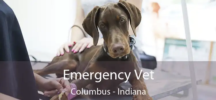 Emergency Vet Columbus - Indiana