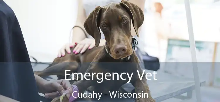 Emergency Vet Cudahy - Wisconsin