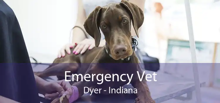 Emergency Vet Dyer - Indiana