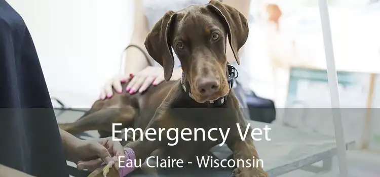 Emergency Vet Eau Claire - Wisconsin