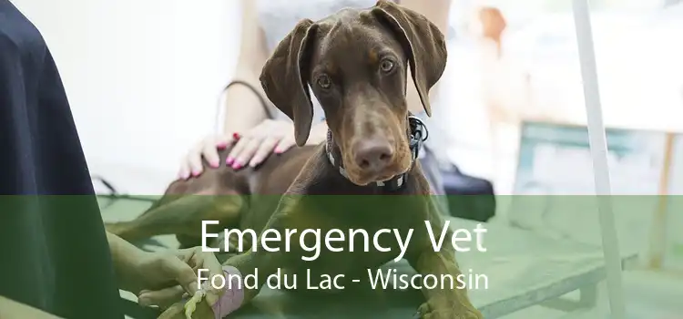Emergency Vet Fond du Lac - Wisconsin