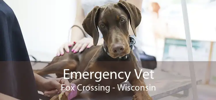 Emergency Vet Fox Crossing - Wisconsin