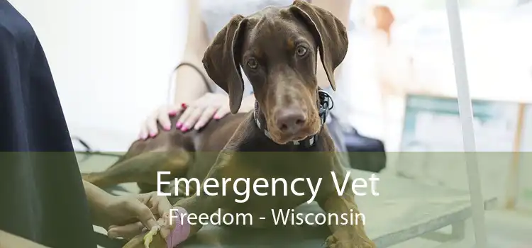 Emergency Vet Freedom - Wisconsin