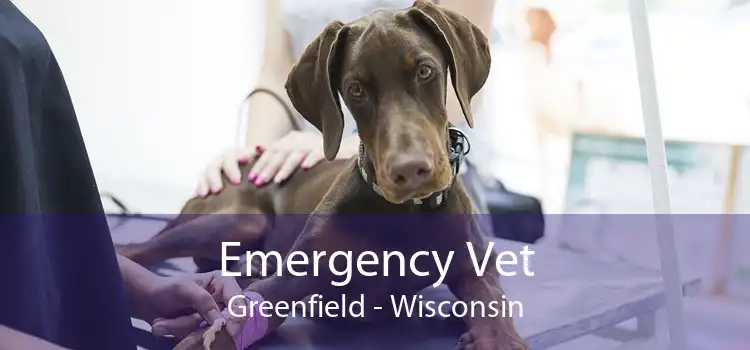 Emergency Vet Greenfield - Wisconsin