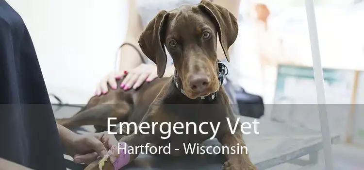 Emergency Vet Hartford - Wisconsin