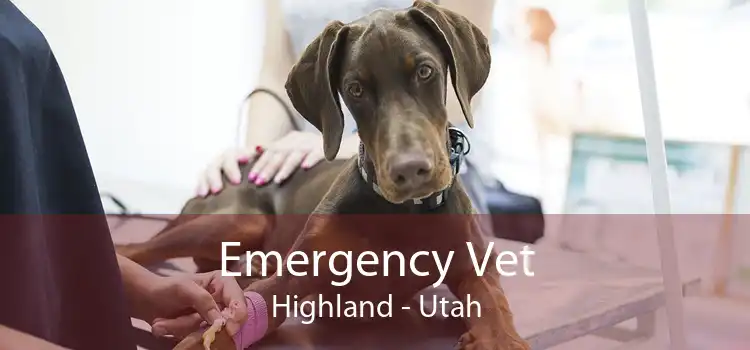 Emergency Vet Highland - Utah