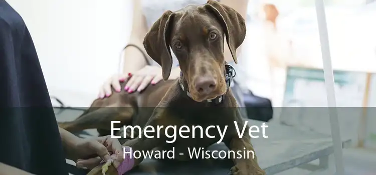 Emergency Vet Howard - Wisconsin