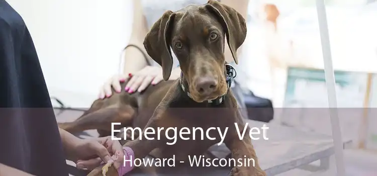 Emergency Vet Howard - Wisconsin