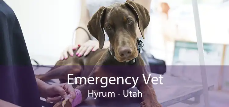Emergency Vet Hyrum - Utah