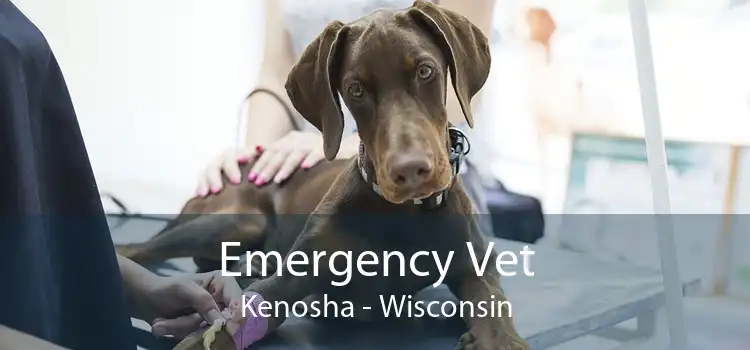 Emergency Vet Kenosha - Wisconsin