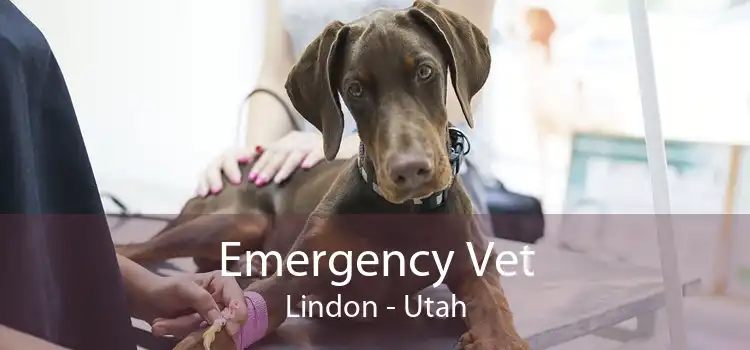 Emergency Vet Lindon - Utah