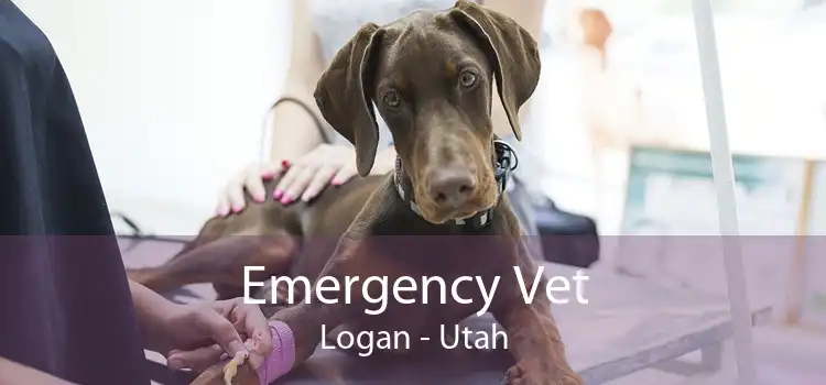 Emergency Vet Logan - Utah