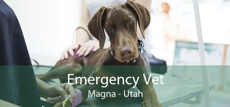 Emergency Vet Magna - Utah