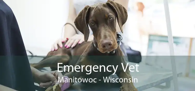 Emergency Vet Manitowoc - Wisconsin