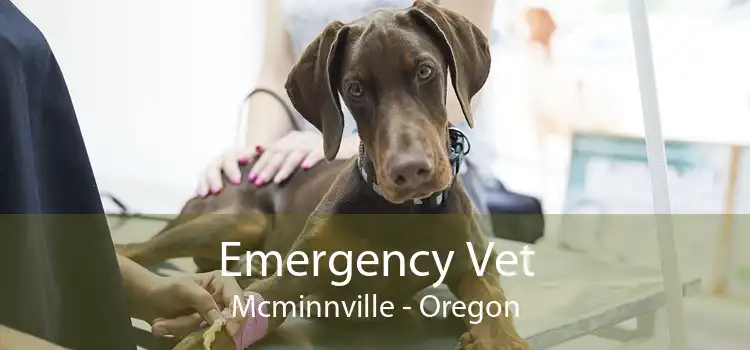 Emergency Vet McMinnville - Oregon