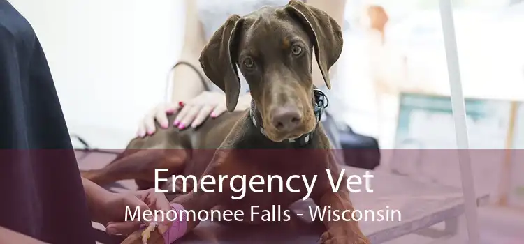 Emergency Vet Menomonee Falls - Wisconsin