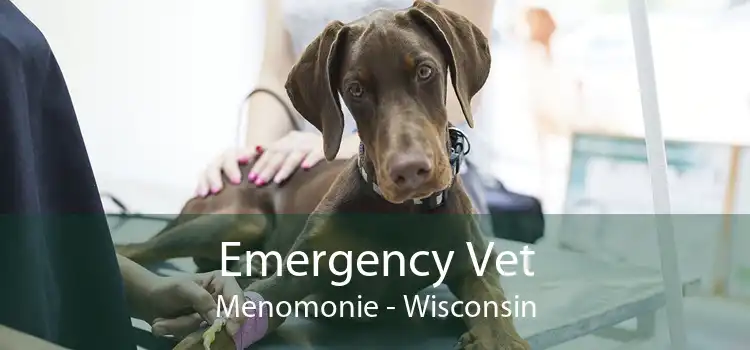 Emergency Vet Menomonie - Wisconsin