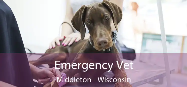 Emergency Vet Middleton - Wisconsin
