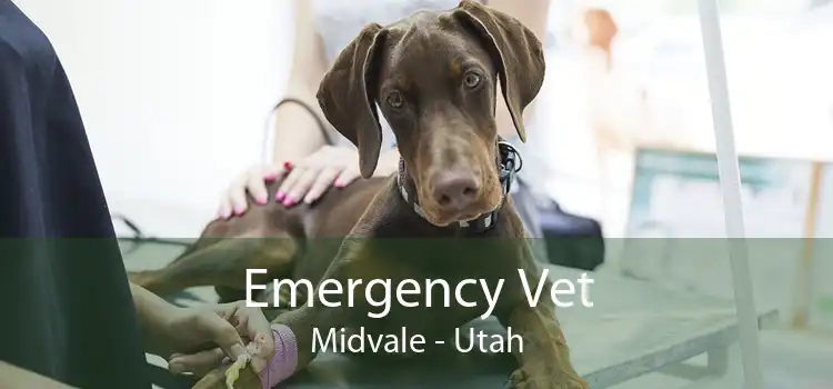 Emergency Vet Midvale - Utah