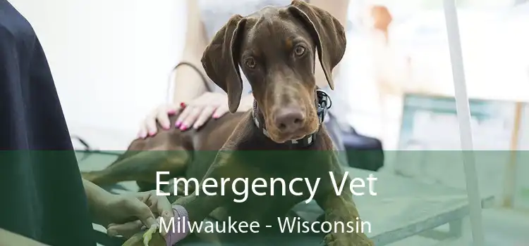 Emergency Vet Milwaukee - Wisconsin