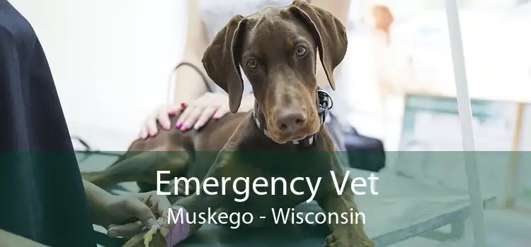 Emergency Vet Muskego - Wisconsin