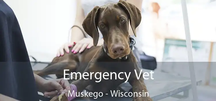 Emergency Vet Muskego - Wisconsin