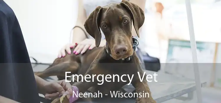 Emergency Vet Neenah - Wisconsin