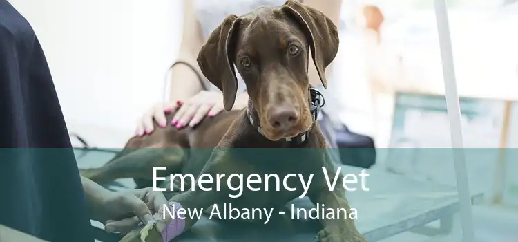Emergency Vet New Albany - Indiana