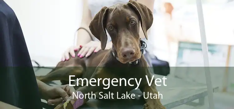 Emergency Vet North Salt Lake - Utah