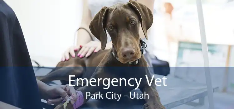 Emergency Vet Park City - Utah