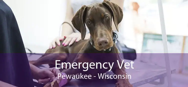 Emergency Vet Pewaukee - Wisconsin