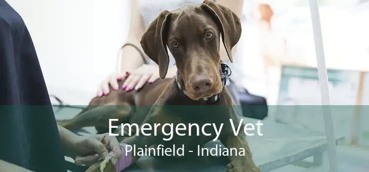 Emergency Vet Plainfield - Indiana