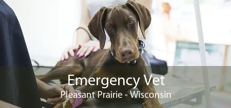 Emergency Vet Pleasant Prairie - Wisconsin
