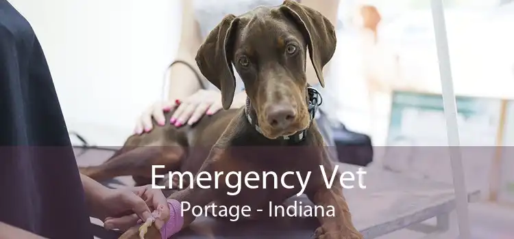 Emergency Vet Portage - Indiana