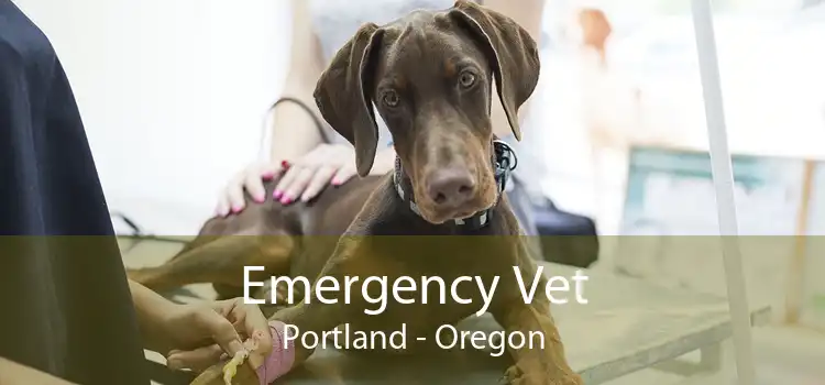 Emergency Vet Portland - Oregon