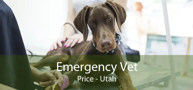 Emergency Vet Price - Utah