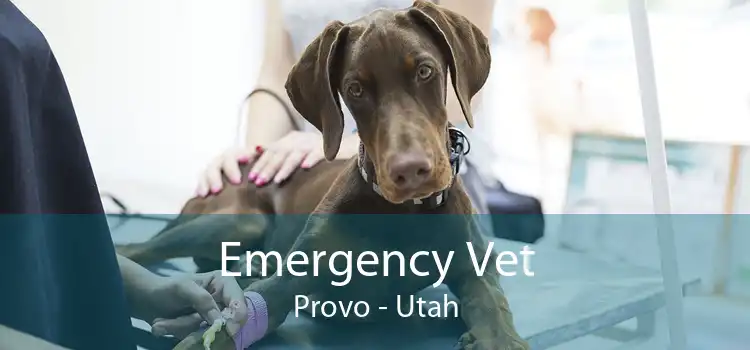 Emergency Vet Provo - Utah