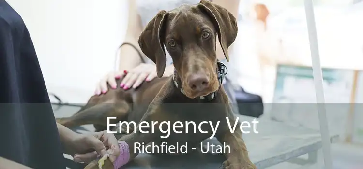 Emergency Vet Richfield - Utah