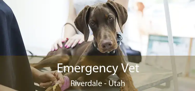 Emergency Vet Riverdale - Utah