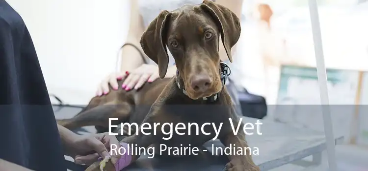 Emergency Vet Rolling Prairie - Indiana