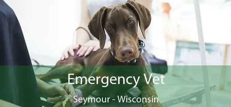 Emergency Vet Seymour - Wisconsin