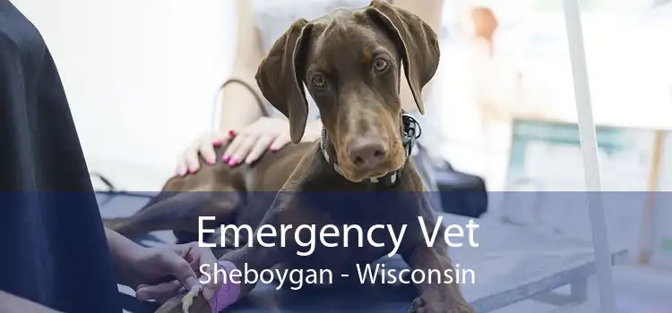 Emergency Vet Sheboygan - Wisconsin