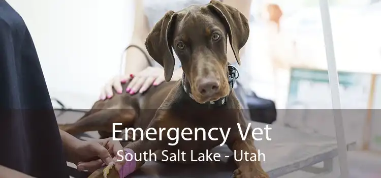 Emergency Vet South Salt Lake - Utah