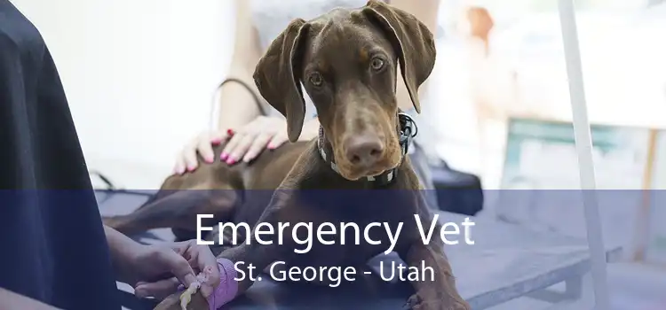 Emergency Vet St. George - Utah