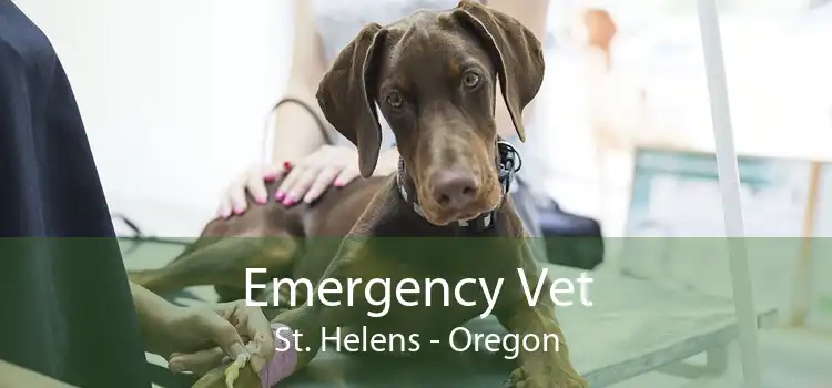 Emergency Vet St. Helens - Oregon