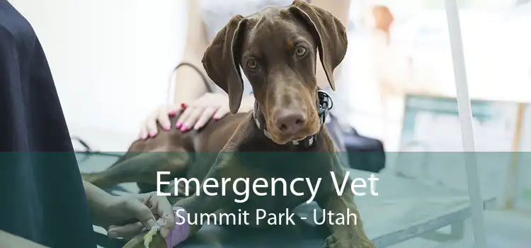 Emergency Vet Summit Park - Utah