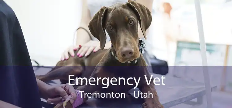 Emergency Vet Tremonton - Utah